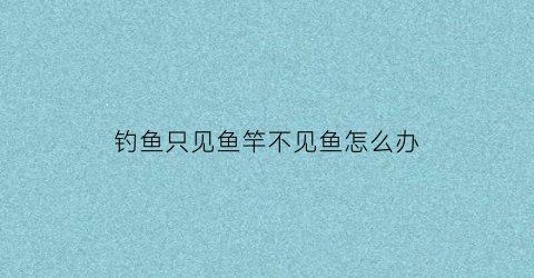 钓鱼只见鱼竿不见鱼怎么办(只见鱼竿不见人)