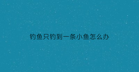 钓鱼只钓到一条小鱼怎么办(钓了一只鱼)