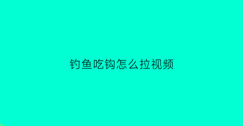 “钓鱼吃钩怎么拉视频(钓鱼吃钩如何看漂)