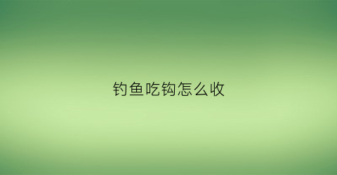 钓鱼吃钩怎么收(钓鱼吃钩如何看漂)
