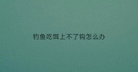 “钓鱼吃饵上不了钩怎么办(钓鱼吃饵上不了钩怎么办呢)