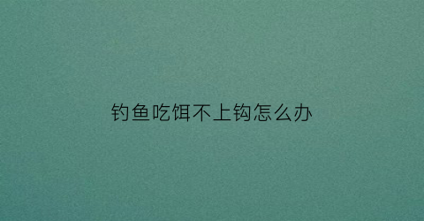 钓鱼吃饵不上钩怎么办(钓鱼吃饵不上钩怎么办呀)
