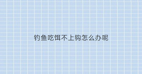 “钓鱼吃饵不上钩怎么办呢(钓鱼吃饵不上钩怎么办呢图片)