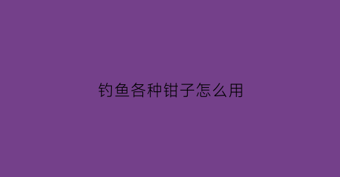钓鱼各种钳子怎么用(钓钳鱼用什么打窝料)