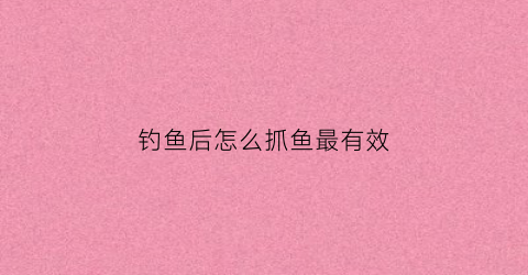 钓鱼后怎么抓鱼最有效(钓鱼怎么抓鱼口)
