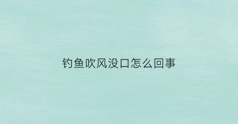 “钓鱼吹风没口怎么回事(刮风钓鱼没口)