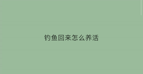 钓鱼回来怎么养活(钓来的鱼怎么养活)