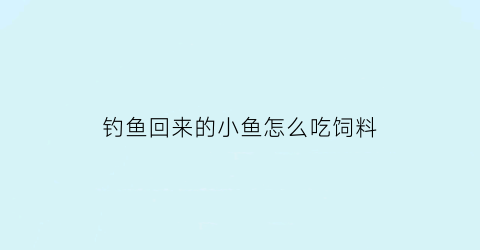 钓鱼回来的小鱼怎么吃饲料(钓回来的鱼喂什么食物简单易行)
