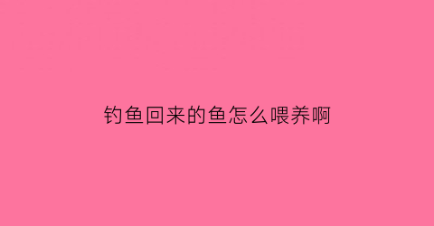 钓鱼回来的鱼怎么喂养啊