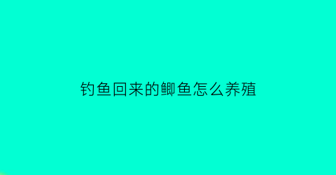 钓鱼回来的鲫鱼怎么养殖