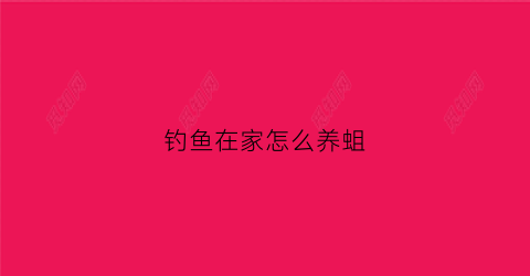 钓鱼在家怎么养蛆(钓鱼在家怎么养蛆视频)