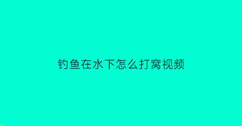 钓鱼在水下怎么打窝视频