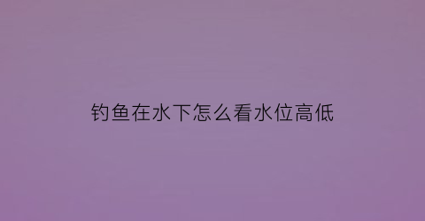 钓鱼在水下怎么看水位高低(钓鱼怎么知道水深浅视频)