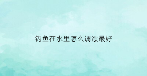 “钓鱼在水里怎么调漂最好(在水中钓鱼)