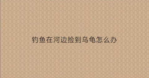 钓鱼在河边捡到乌龟怎么办(钓鱼捡了个乌龟)