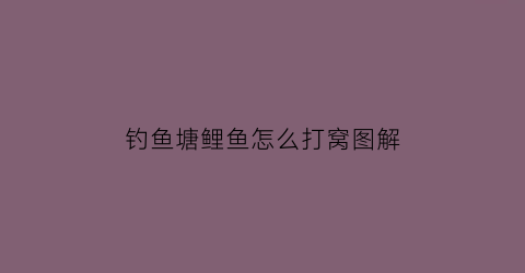 “钓鱼塘鲤鱼怎么打窝图解(鱼塘怎么钓大鲤鱼)