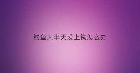 钓鱼大半天没上钩怎么办(钓鱼半天没口怎么办)