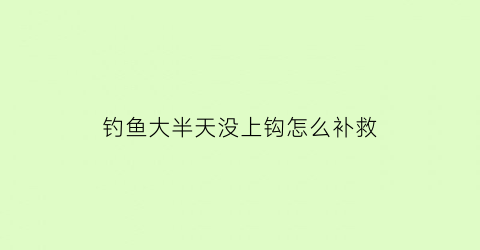 “钓鱼大半天没上钩怎么补救(鱼半天不上钩)