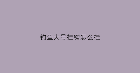 钓鱼大号挂钩怎么挂(大号鱼钩能钓小鱼吗)