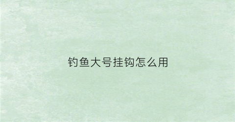 钓鱼大号挂钩怎么用(大挂钩和小挂钩的区别)