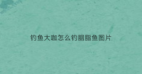 钓鱼大咖怎么钓胭脂鱼图片(钓鱼大咖完整攻略)