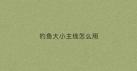 钓鱼大小主线怎么用(钓鱼大小主线怎么用图解)