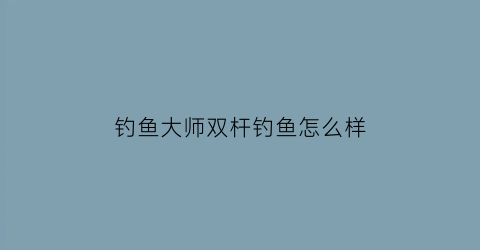 钓鱼大师双杆钓鱼怎么样(钓鱼大师2)