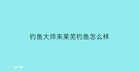 钓鱼大师来莱芜钓鱼怎么样