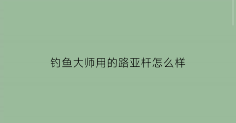 钓鱼大师用的路亚杆怎么样(钓鱼大师多少钱)