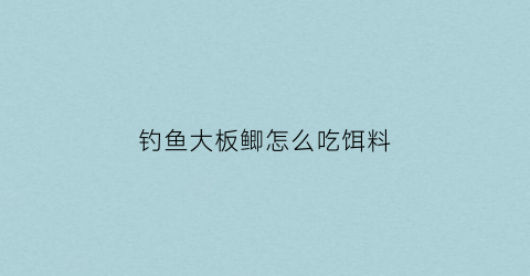 钓鱼大板鲫怎么吃饵料(野钓大板鲫饵料搭配)