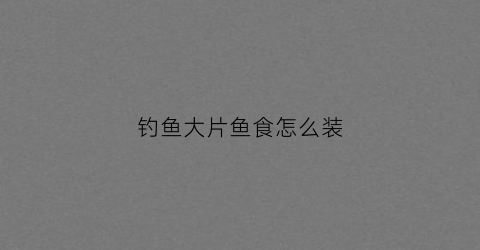钓鱼大片鱼食怎么装(钓鱼鱼片儿怎么调合适)