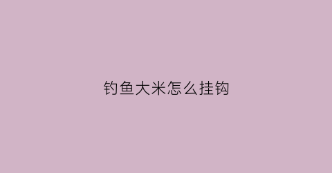 钓鱼大米怎么挂钩(钓鱼大米怎么挂钩视频)