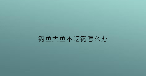 “钓鱼大鱼不吃钩怎么办(钓鱼鱼不吃钩怎么回事)