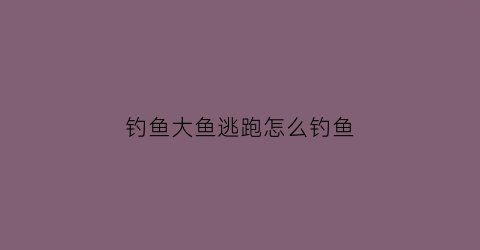 钓鱼大鱼逃跑怎么钓鱼(钓鱼鱼一直逃走)