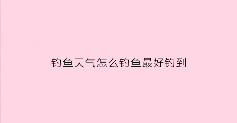 钓鱼天气怎么钓鱼最好钓到(钓鱼天气怎么钓鱼最好钓到鱼)
