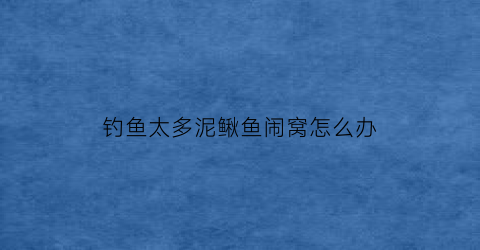 钓鱼太多泥鳅鱼闹窝怎么办(泥鳅闹窝还能钓鲤鱼吗)
