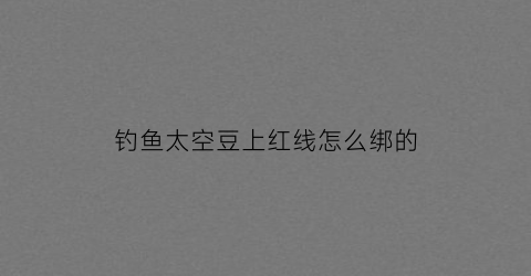 钓鱼太空豆上红线怎么绑的(钓鱼线的太空豆怎么安)