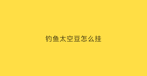 钓鱼太空豆怎么挂(钓鱼太空豆怎么挂钩视频)
