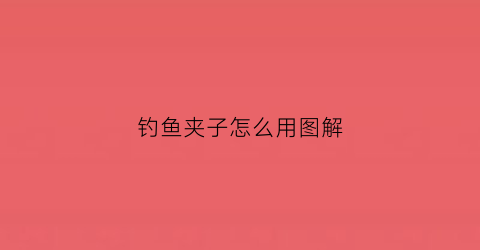 钓鱼夹子怎么用图解(钓鱼夹鱼器怎么用图解)