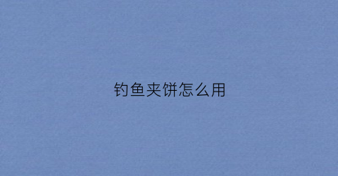 钓鱼夹饼怎么用(钓鱼夹饼怎么用视频)