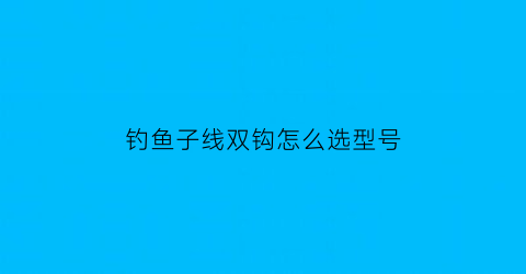 钓鱼子线双钩怎么选型号