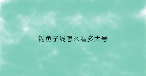 钓鱼子线怎么看多大号(钓鱼子线长度怎么确定)