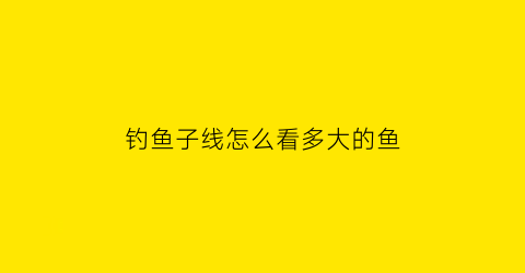 钓鱼子线怎么看多大的鱼(钓鱼子线号数)