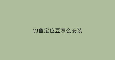 钓鱼定位豆怎么安装(钓鱼的定位针是干什么的)