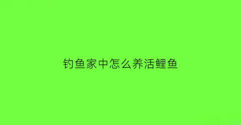 钓鱼家中怎么养活鲤鱼(家养鲤鱼怎么养才能活)