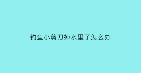 钓鱼小剪刀掉水里了怎么办(剪刀掉下水道了怎么办)
