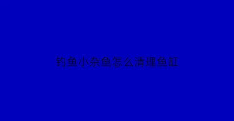 “钓鱼小杂鱼怎么清理鱼缸(钓鱼小杂鱼怎么清理鱼缸视频)