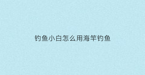 “钓鱼小白怎么用海竿钓鱼(新手如何用海竿钓鱼视频教程)