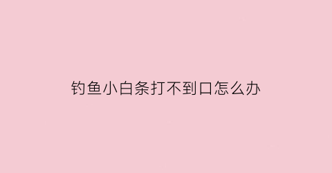 钓鱼小白条打不到口怎么办(钓小白条有口打不到)