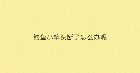 钓鱼小竿头断了怎么办呢(鱼竿头断了怎么绑鱼线)